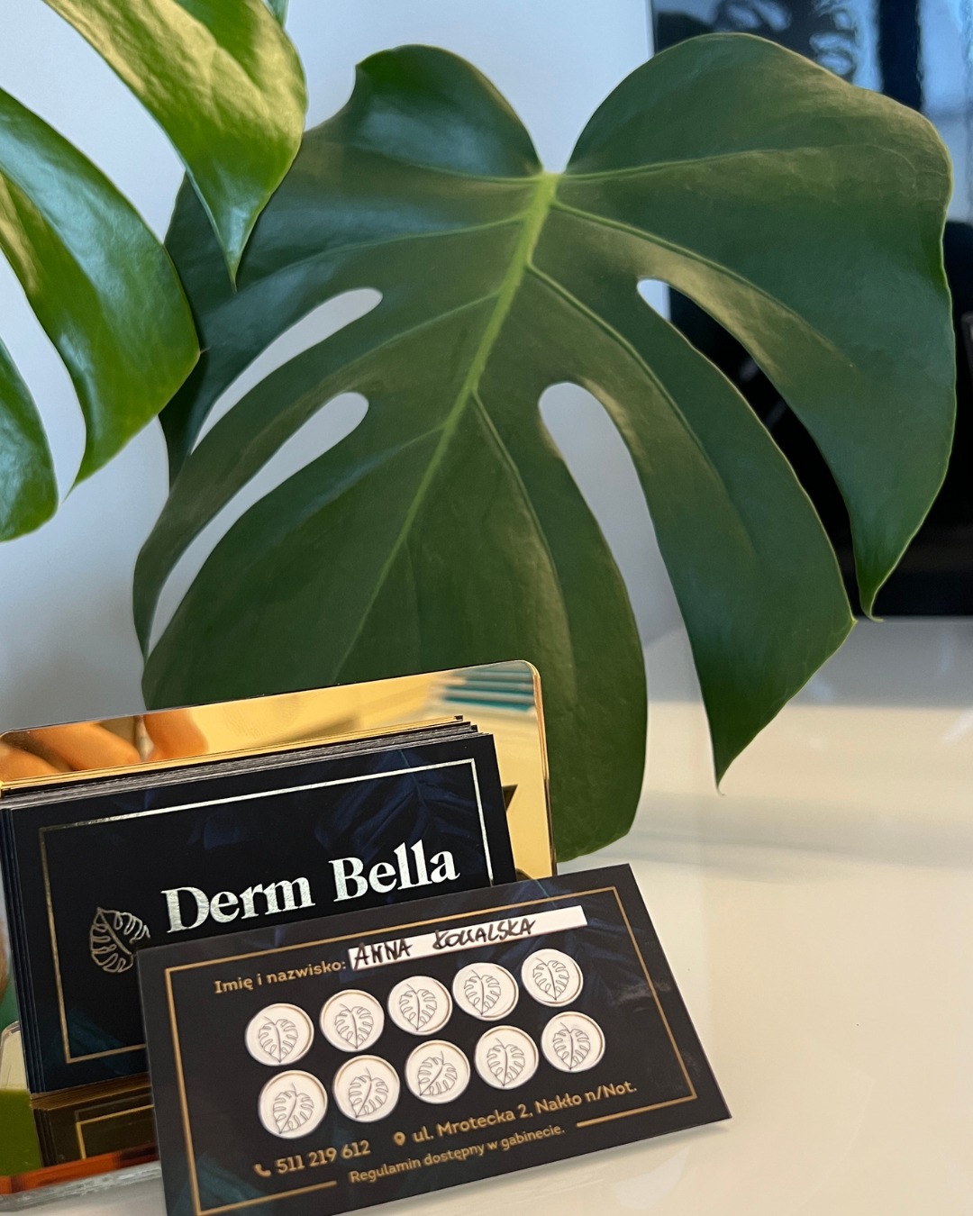 493938464_1134107098519520_8832550330419077159_n